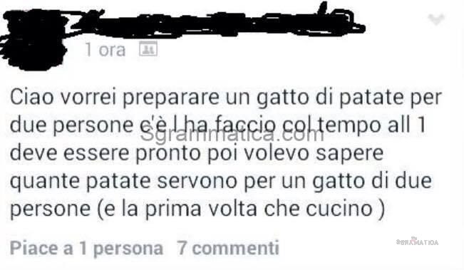 Pratica e Ripetizione Portano alla Perfezione! 1 Pratica e Ripetizione Portano alla Perfezione! 1