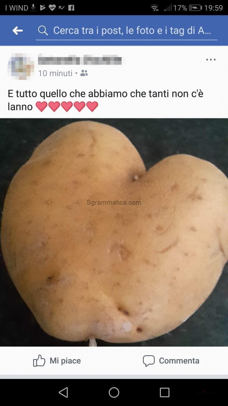 Pensa che fortuna! 1 Pensa che fortuna! 1