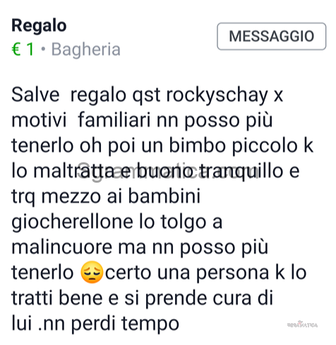 Ne Perdi Già Abbastanza Tu 1 Ne Perdi Già Abbastanza Tu 1